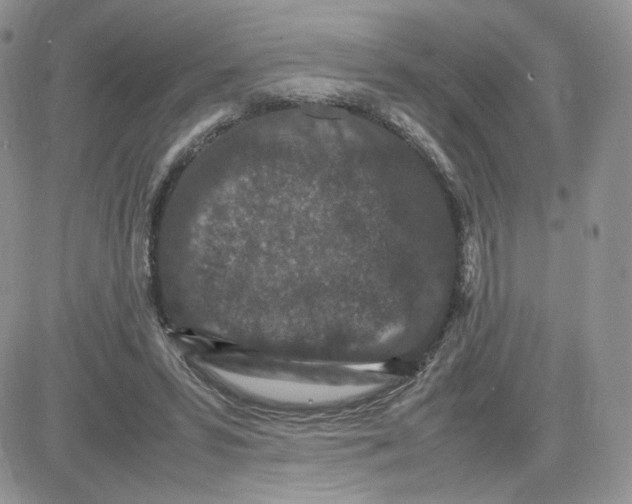 X0000081430399200701261828