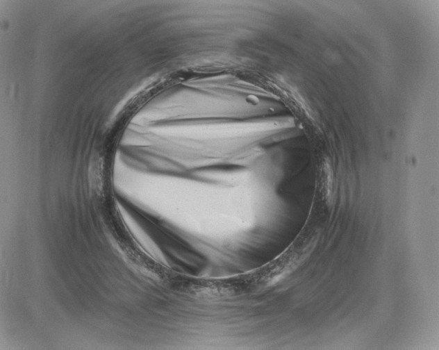 X0000081430400200701261828