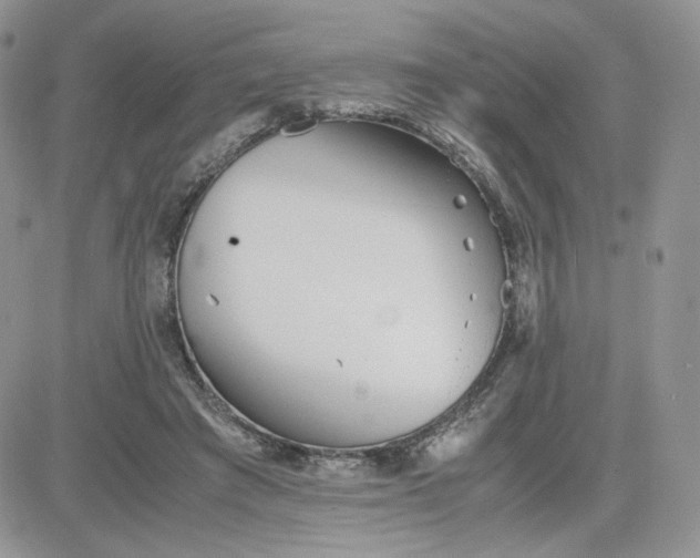 X0000081430401200701261828