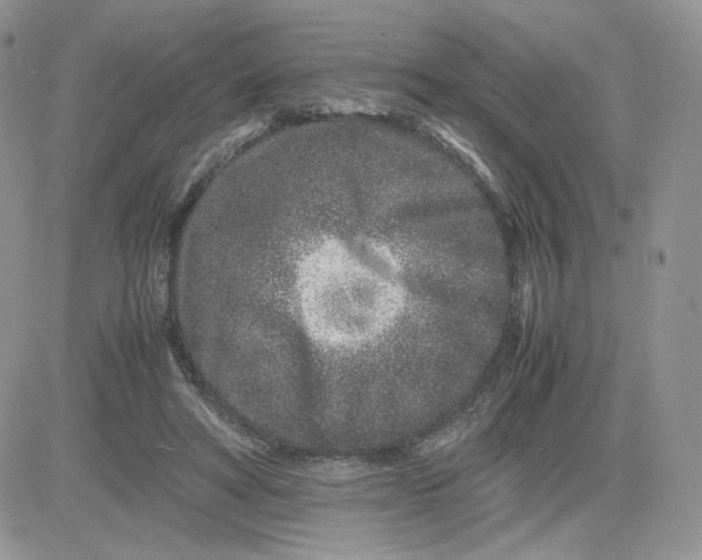 X0000081430402200701261828