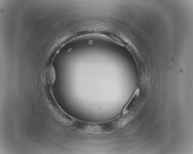 X0000081430403200701261828