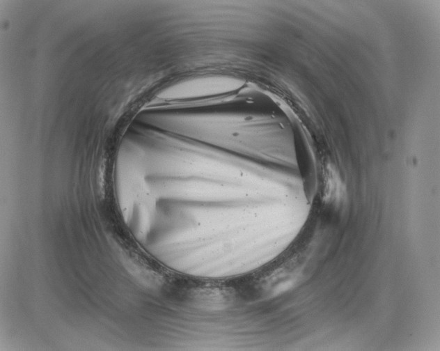 X0000081430404200701261828