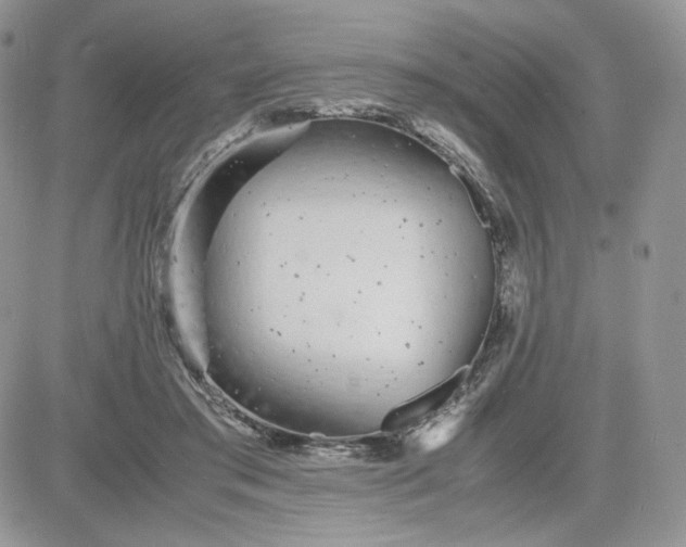 X0000081430405200701261828