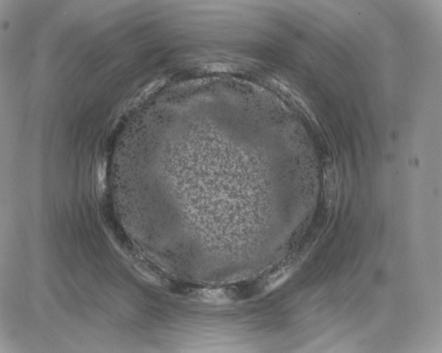 X0000081430406200701261828