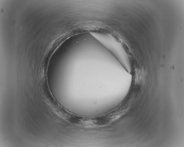 X0000081430407200701261827