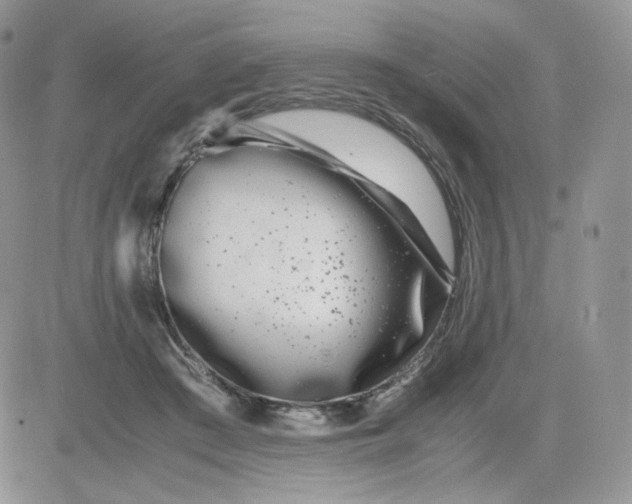 X0000081430409200701261827