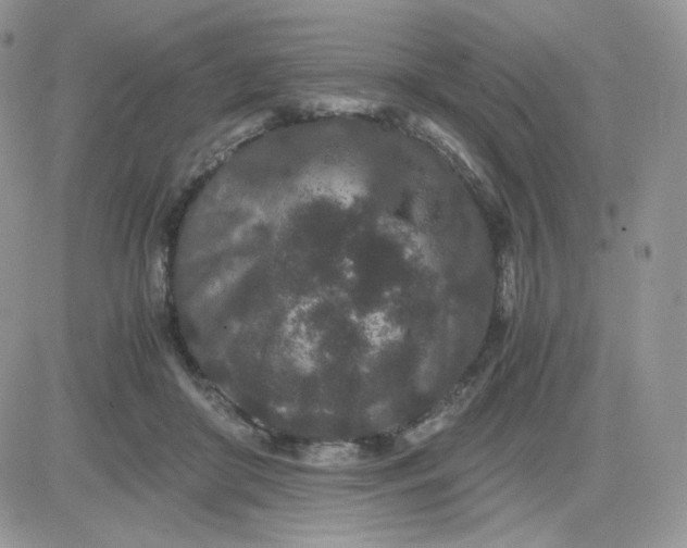 X0000081430410200701261827