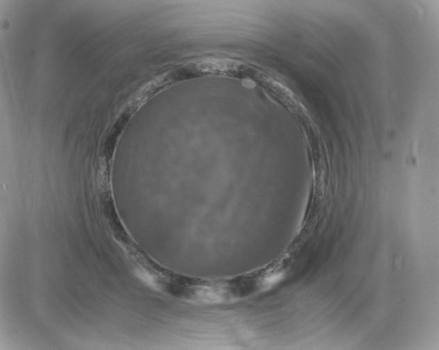 X0000081430411200701261827