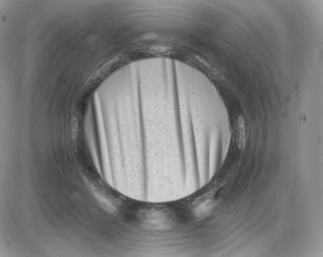 X0000081430412200701261827