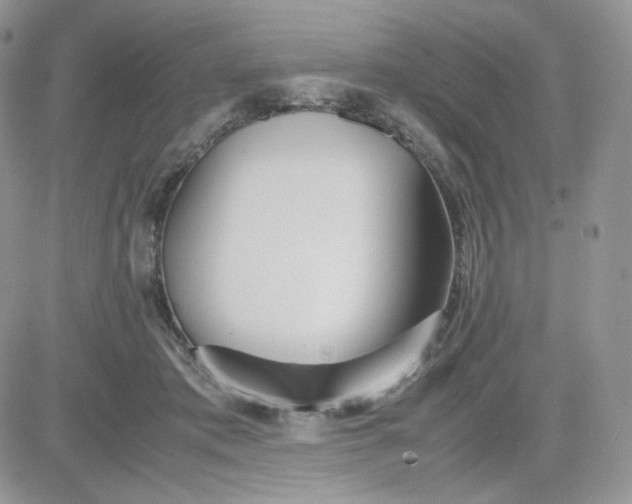 X0000081430413200701261827