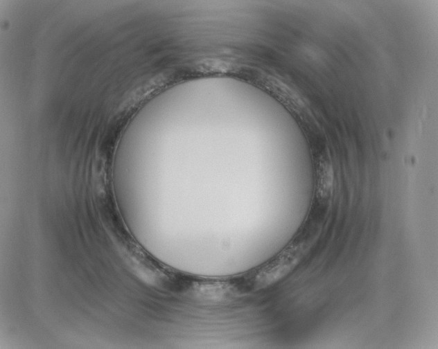 X0000081430414200701261827