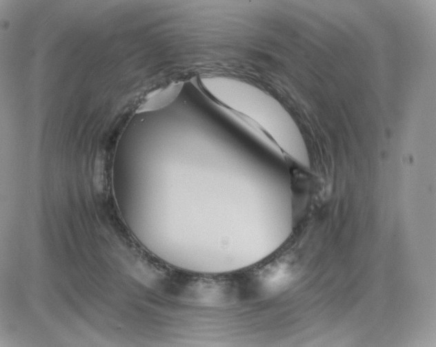 X0000081430416200701261827