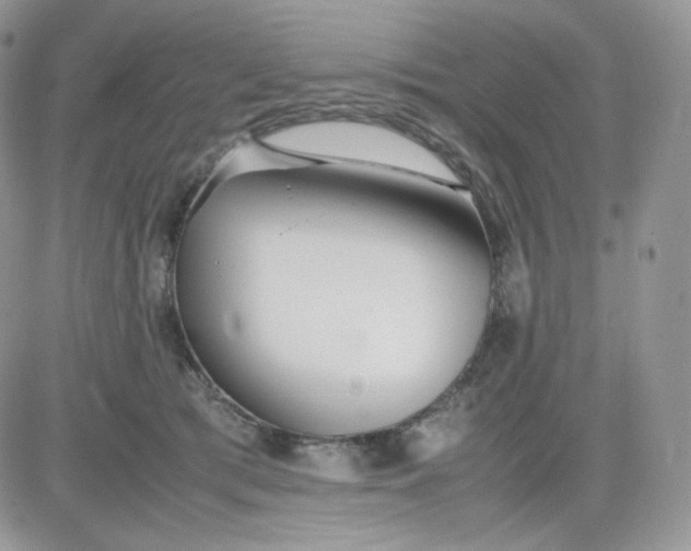 X0000081430417200701261827