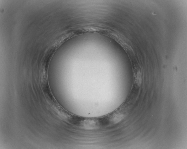 X0000081430418200701261827