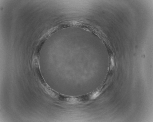 X0000081430419200701261827