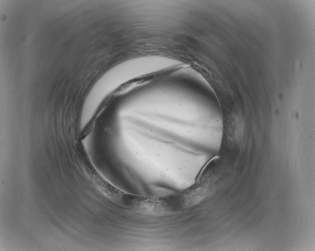 X0000081430420200701261827