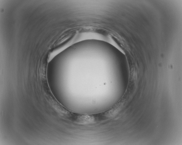 X0000081430421200701261827