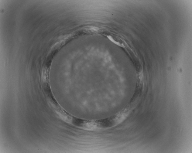 X0000081430423200701261827