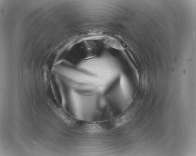 X0000081430424200701261827