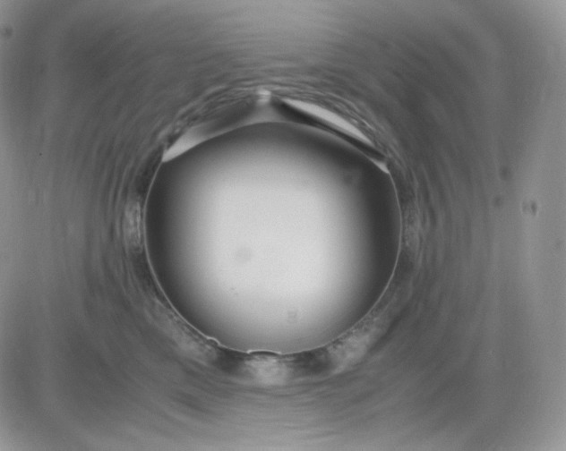 X0000081430425200701261827