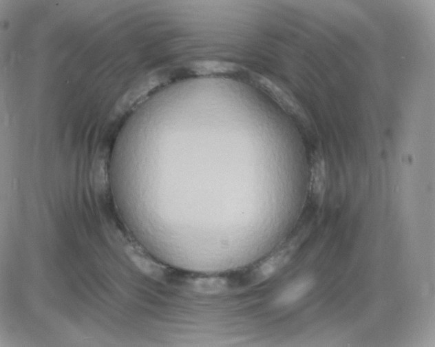 X0000081430426200701261827