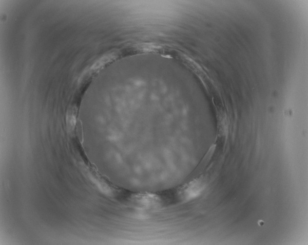 X0000081430427200701261827