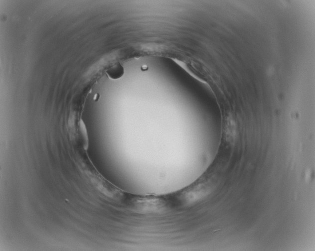 X0000081430428200701261827