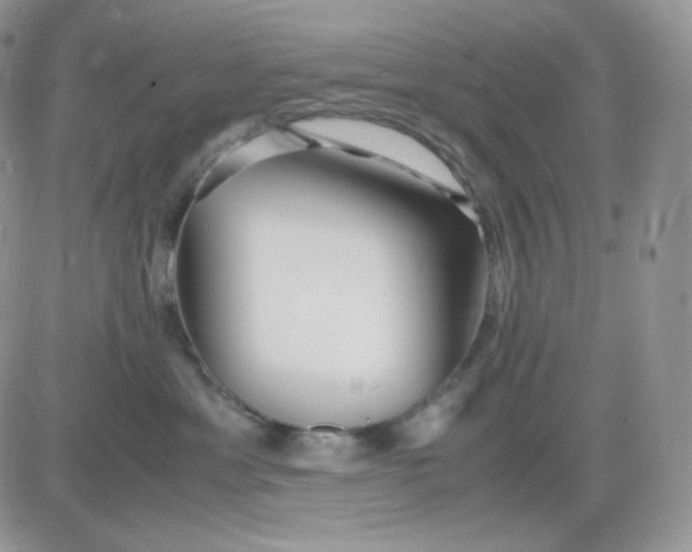 X0000081430429200701261827