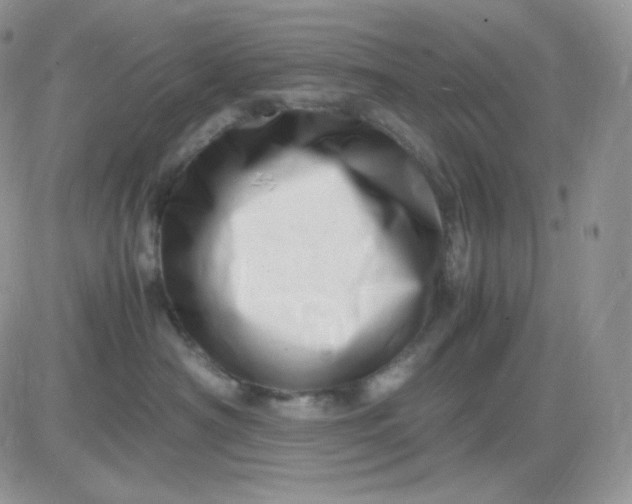 X0000081430430200701261827