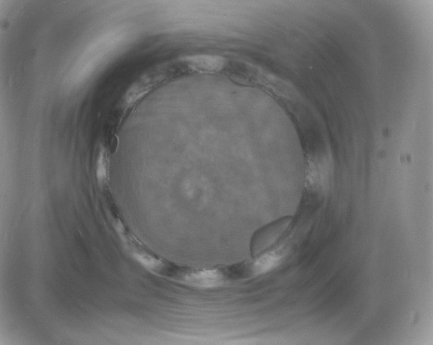 X0000081430431200701261827