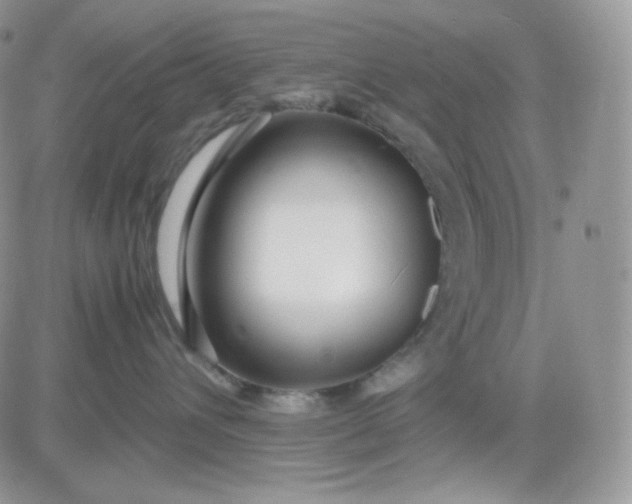 X0000081430432200701261827