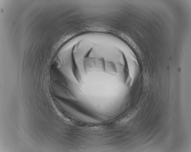 X0000081430433200701261826