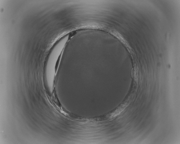 X0000081430434200701261826