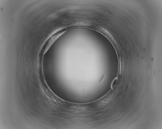 X0000081430435200701261826