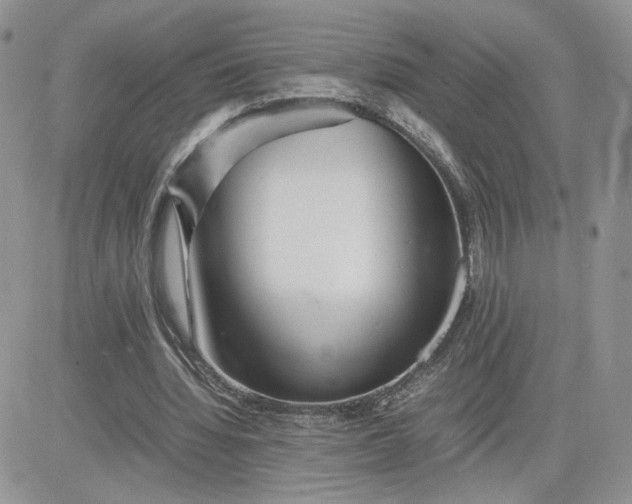 X0000081430436200701261826