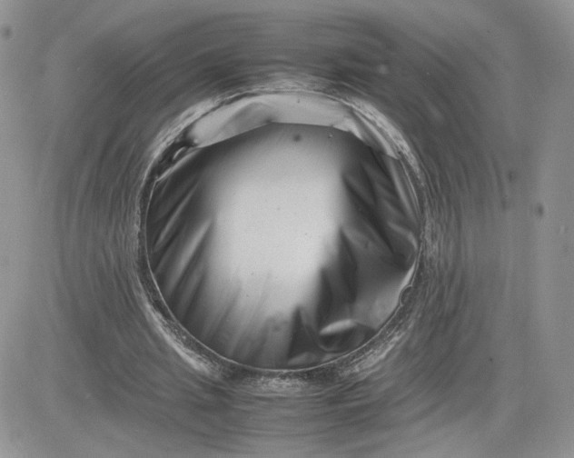 X0000081430437200701261826