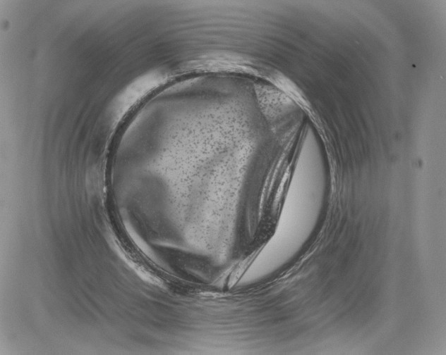 X0000081430438200701261826