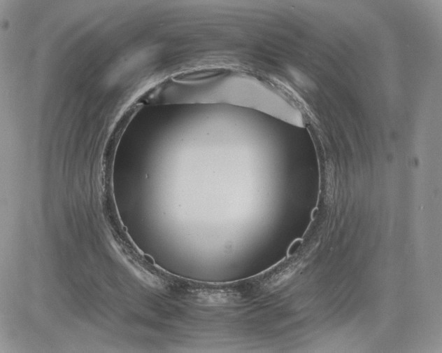 X0000081430439200701261826