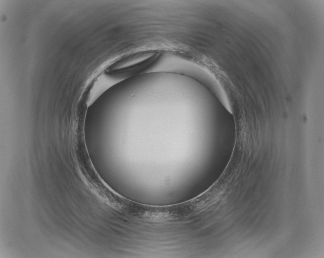 X0000081430440200701261826