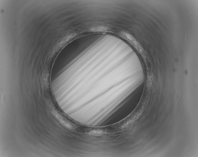 X0000081430441200701261826