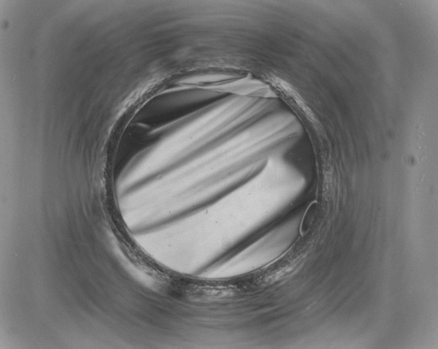 X0000081430443200701261826