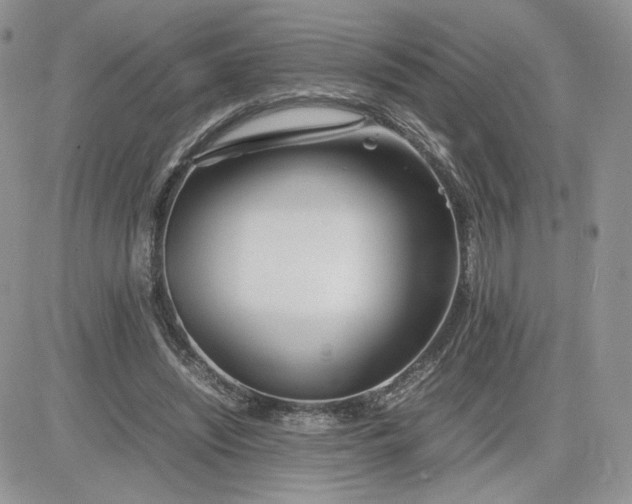 X0000081430444200701261826