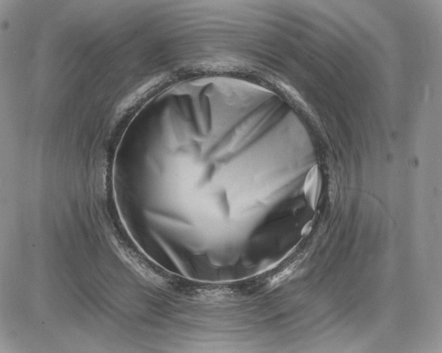 X0000081430446200701261827