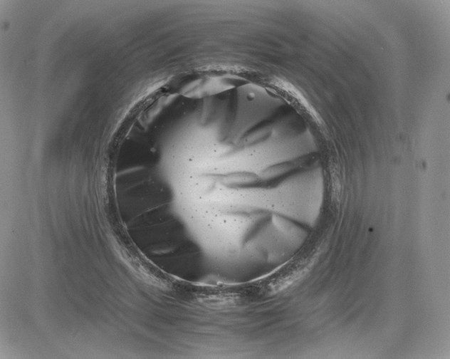 X0000081430447200701261827