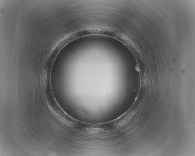 X0000081430448200701261827