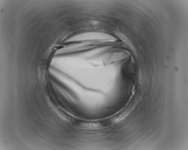 X0000081430449200701261827