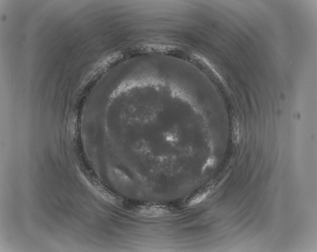 X0000081430451200701261827