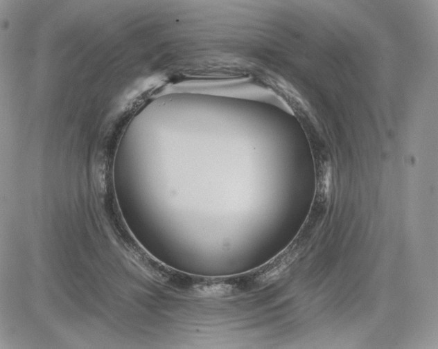 X0000081430452200701261827