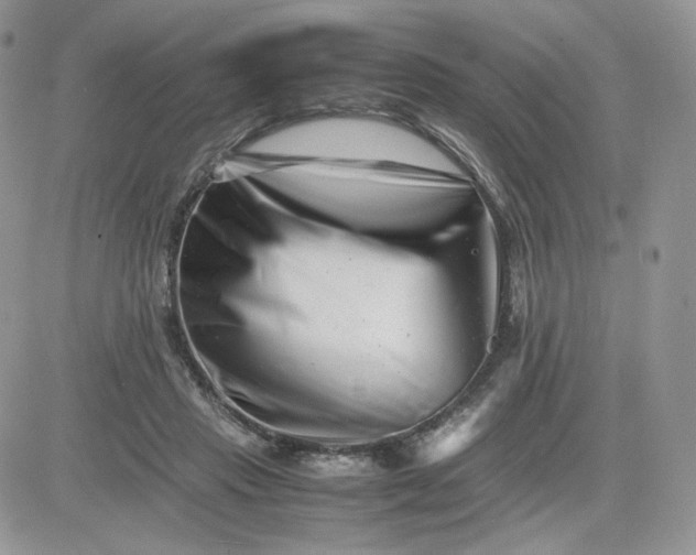 X0000081430453200701261827