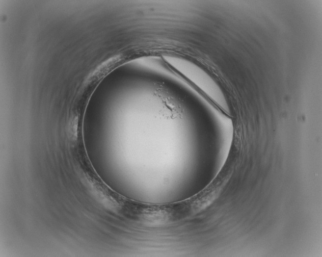 X0000081430454200701261827